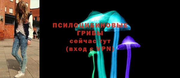 прущий лед Елабуга