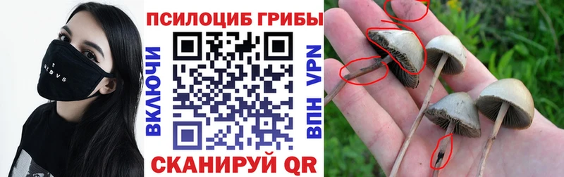 Купить где  Горячий Ключ  Галлюциногенные грибы ЛСД 