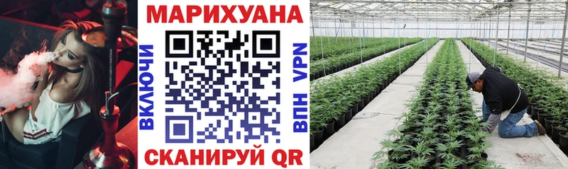 Купить где  Горячий Ключ  Конопля OG Kush 